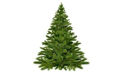 Comment dessiner son propre sapin de Noël ?