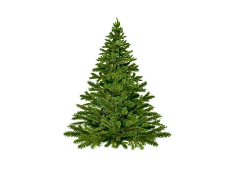 Comment dessiner son propre sapin de Noël ?