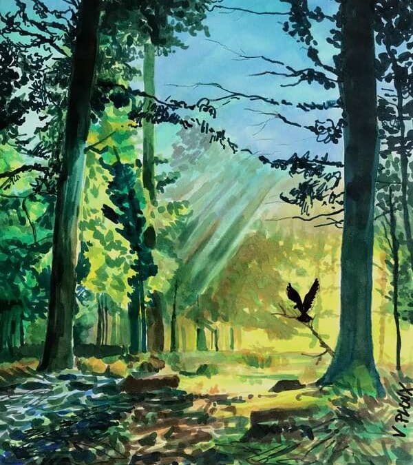 Le dessin, ce voyage magique