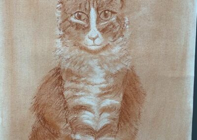 DESSIN CHAT SANGUINE